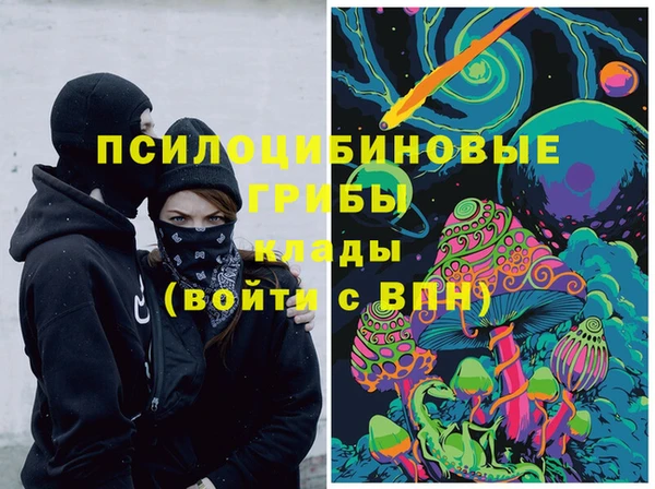 МДПВ Ельня